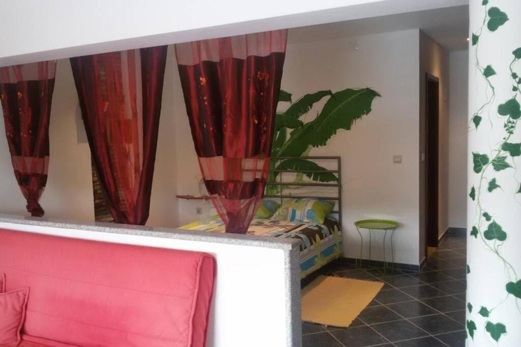 Studio Mira Abragao Bagian luar foto
