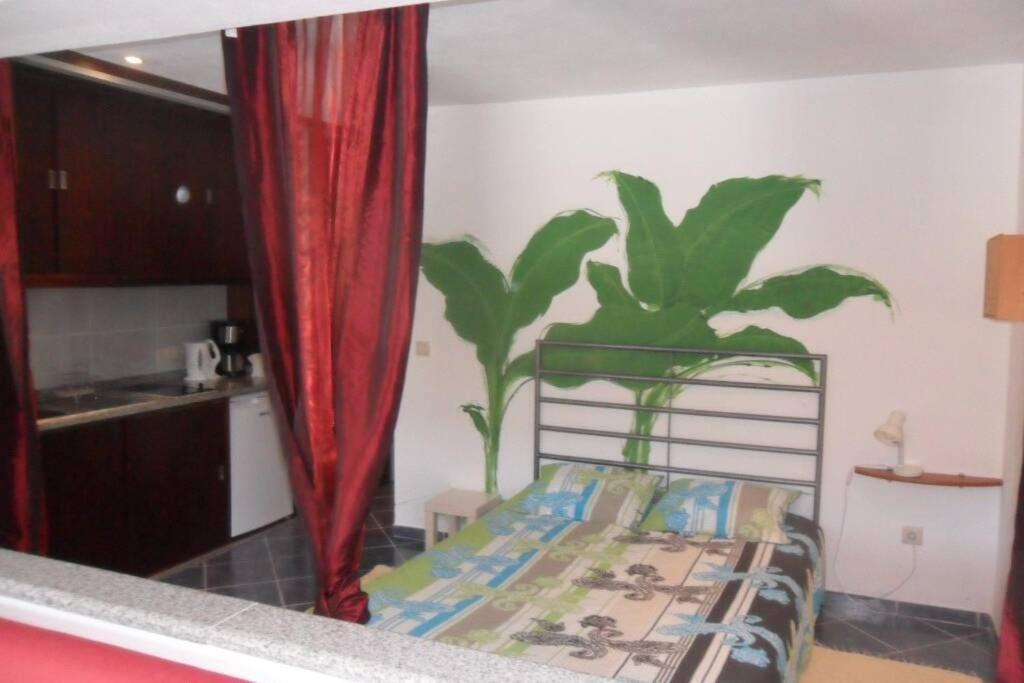 Studio Mira Abragao Bagian luar foto